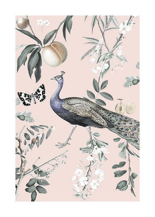 Vintage Peacock Plakat