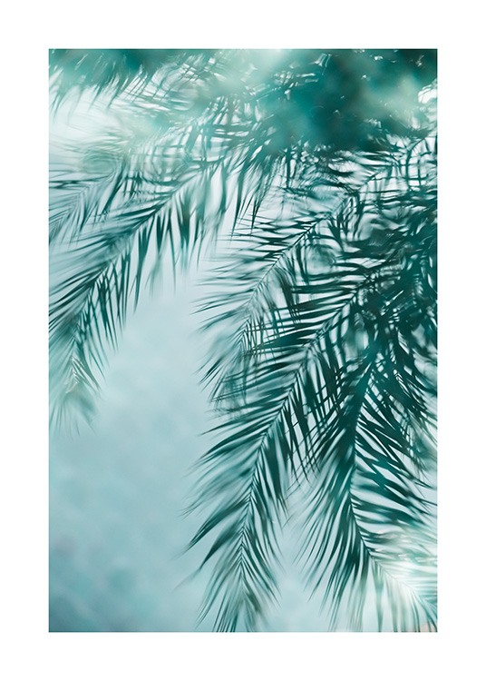 Palm Reflection Plakat