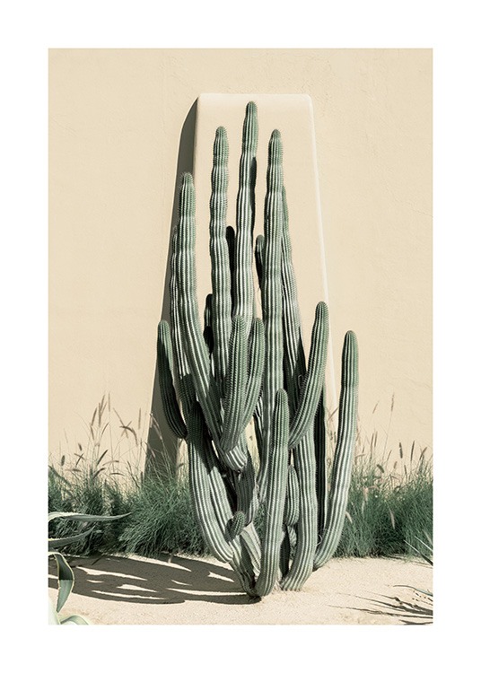 Beige Cactus Plakat