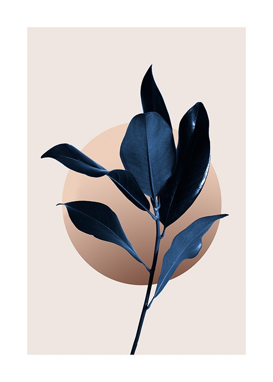 Blue Magnolia No2 Plakat