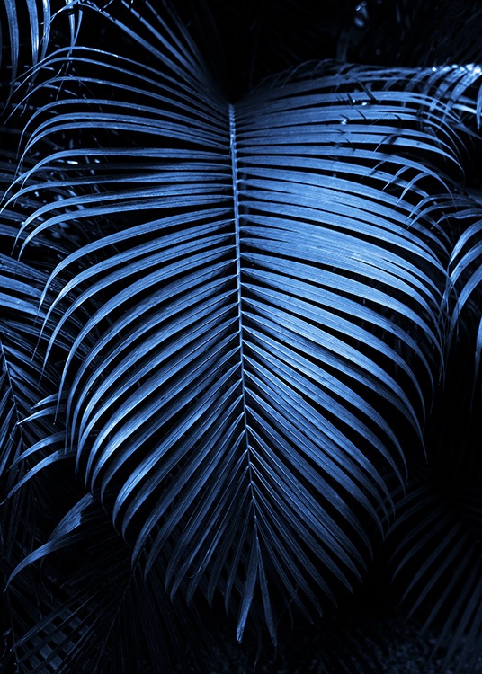 Blue Palm Leaves No1 Plakat