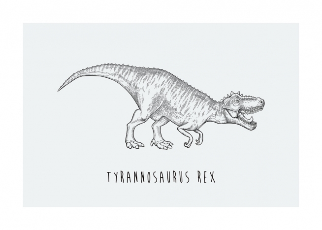  – Ilustracja z dinozaurem o nazwie Tyrannosaurus rex na tle w niebieskozielonym kolorze