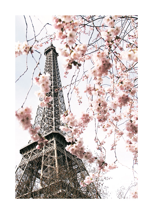 Blooming Paris Plakat