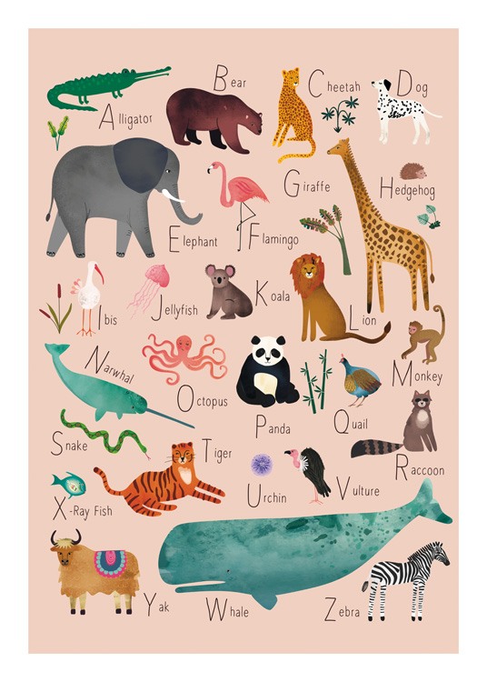 Alphabet Animals 1 Plakat