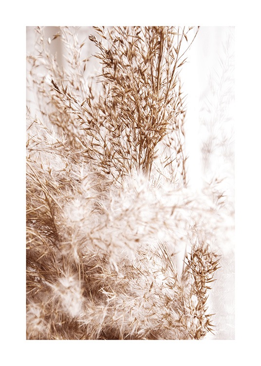 Beige Bulrush Plakat