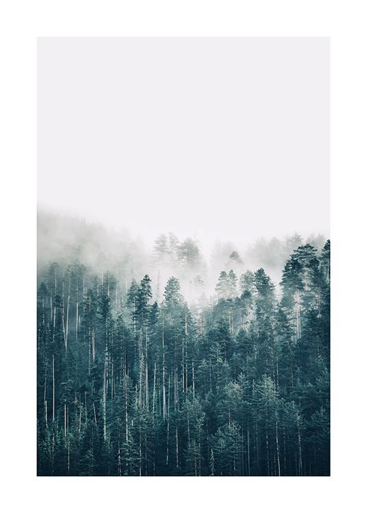 Hazy Forest Plakat