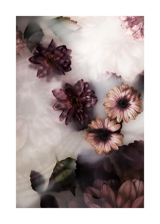  – Zdjęcie kwiatów w kolorach różowym i ciemnofioletowym unoszących się w kąpieli mlecznej