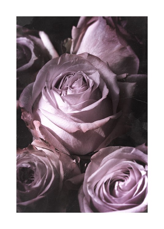 Antique Rose Bouquet Plakat