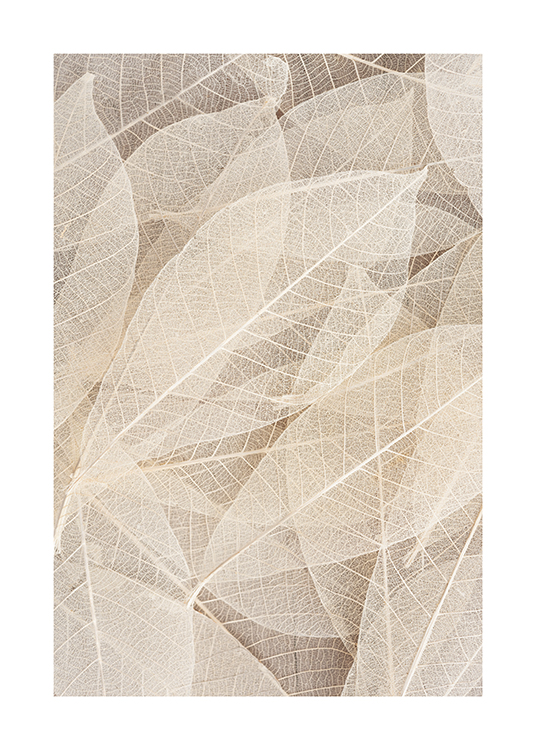  – Zdjęcie z bliska z przezroczystymi liśćmi z żyłkowaniem w jasnobeżowym kolorze