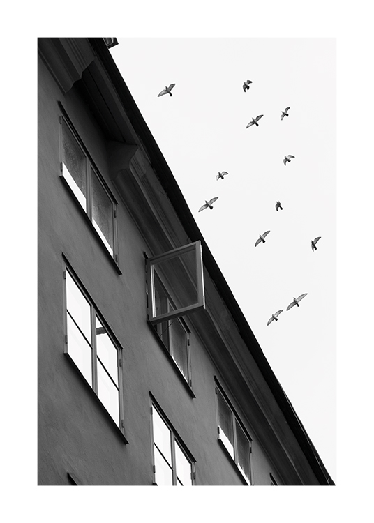  – Czarno-białe zdjęcie stada ptaków przelatujących nad budynkiem, w którym otwarte jest okno