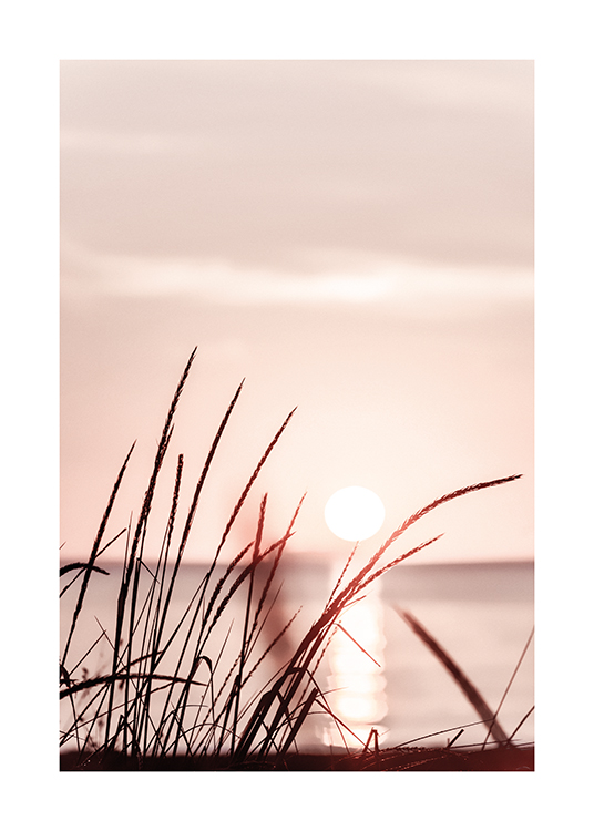  – Zdjęcie trawy pod pasteloworóżowym niebem o zachodzie słońca