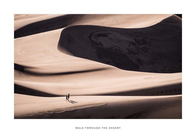 Walk Through The Desert Plakat