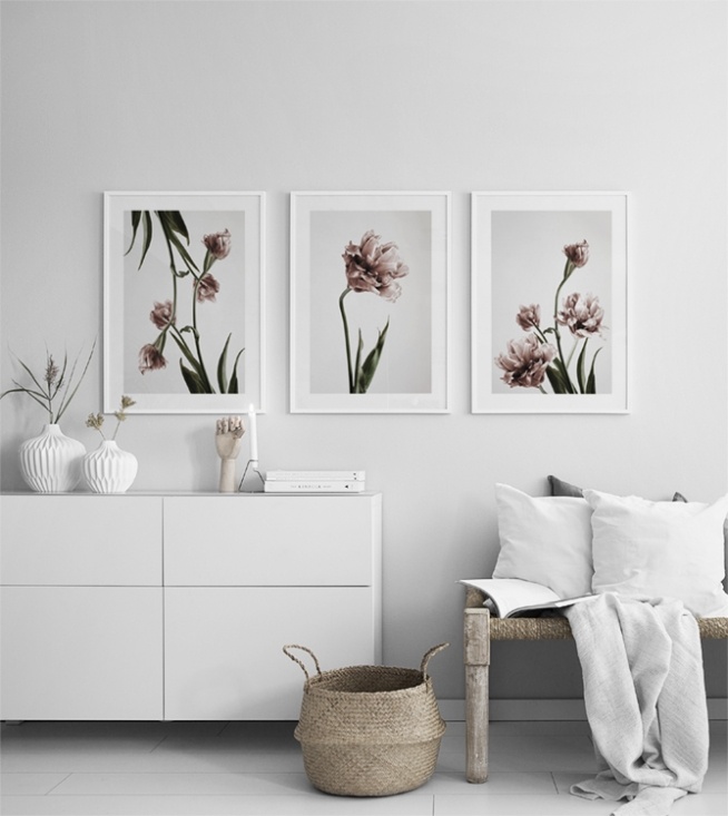  – Zdjęcie pęku różowych tulipanów w pełnym rozkwicie na szarym tle