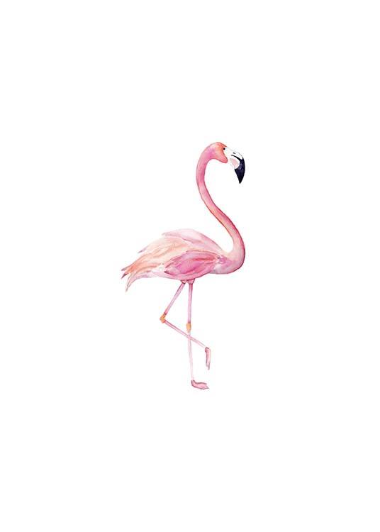 Flamingo Aquarelle  Plakat