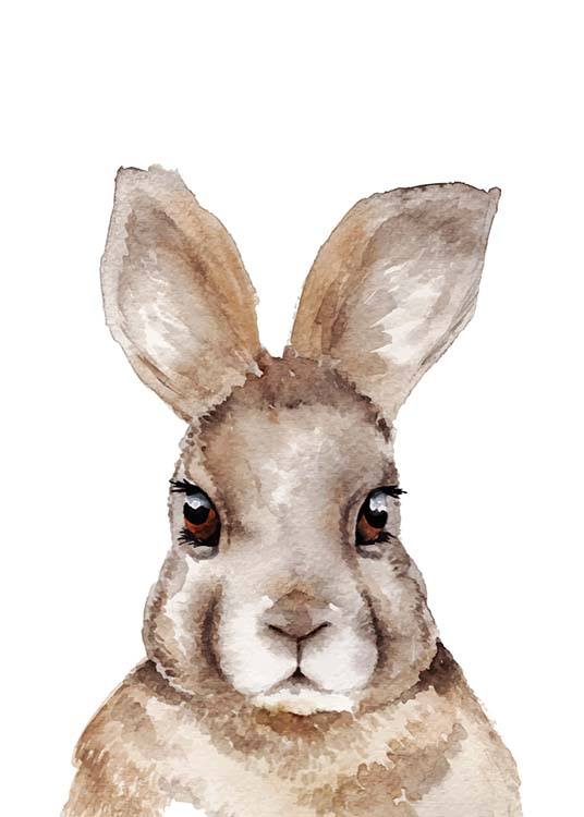 Rabbit Portrait Plakat