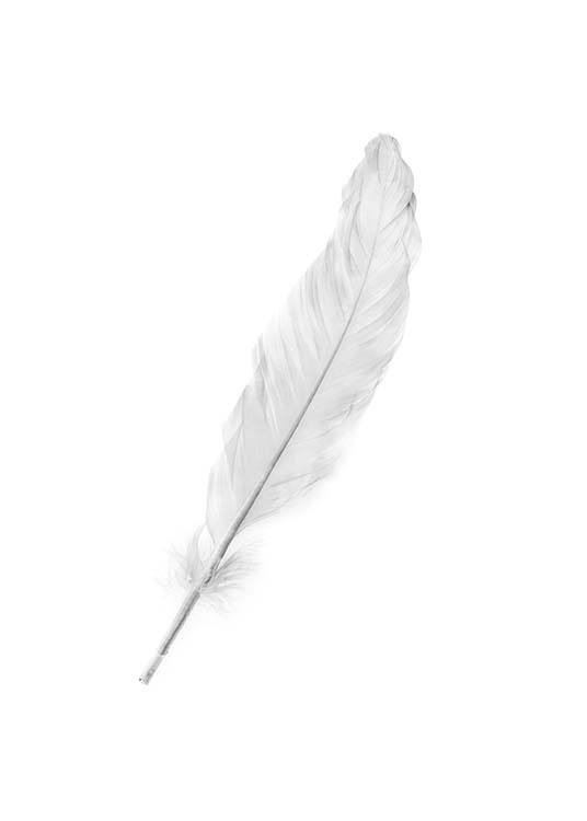 White Feather Plakat