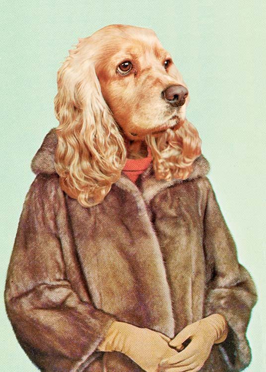 Lady Dog Plakat