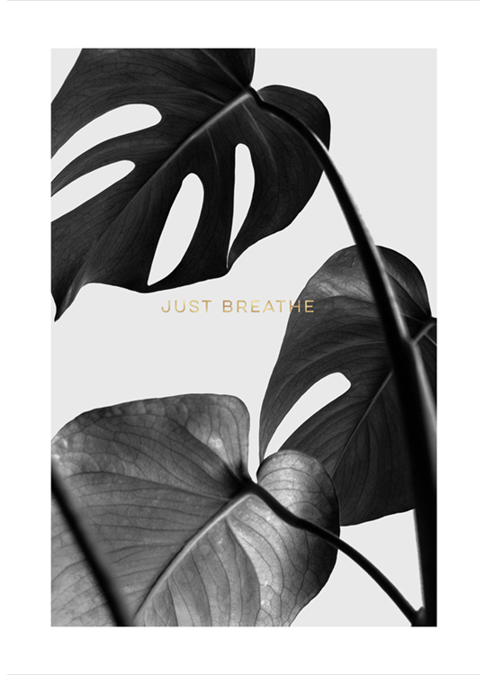 Remember To Breathe Plakat