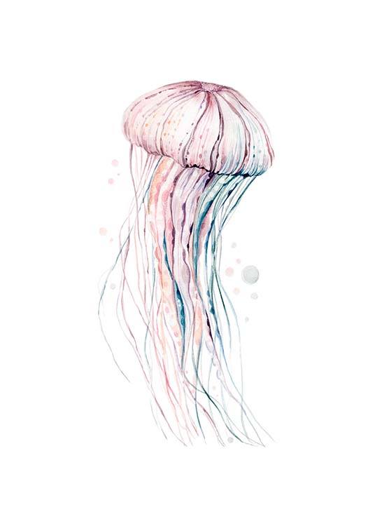 Aquarelle Jellyfish Plakat