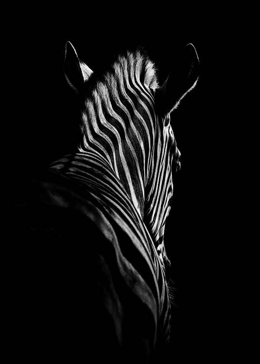Zebra B&W Plakat
