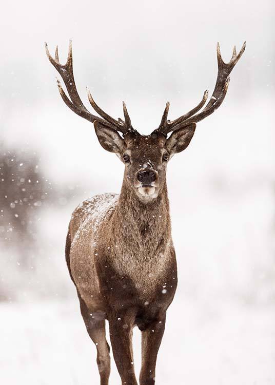  – Zdjęcie jelenia w śniegu na tle zimowego krajobrazu