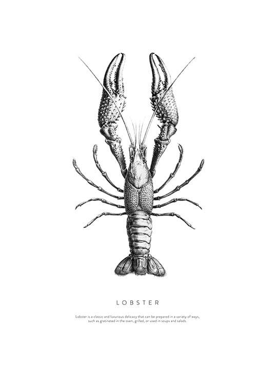 Lobster No1 Plakat