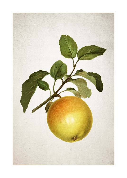 Apple Plakat
