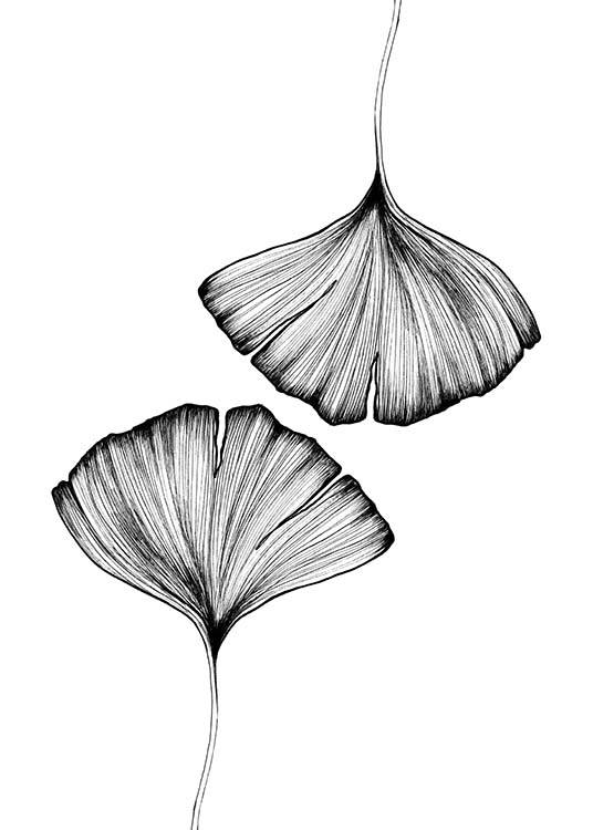 Ginkgo Leaves Plakat / Czarno-białe w Desenio AB (3600)