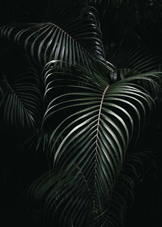 Dark Green Palm Leaves No1 Plakat