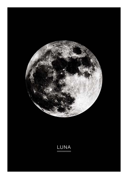 Moon In Black Plakat
