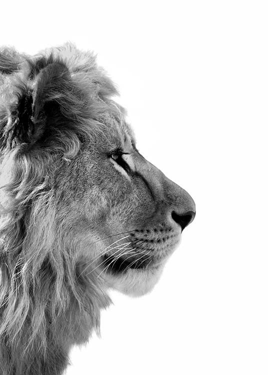  – Czarno-białe zdjęcie przedstawiające lwa z profilu