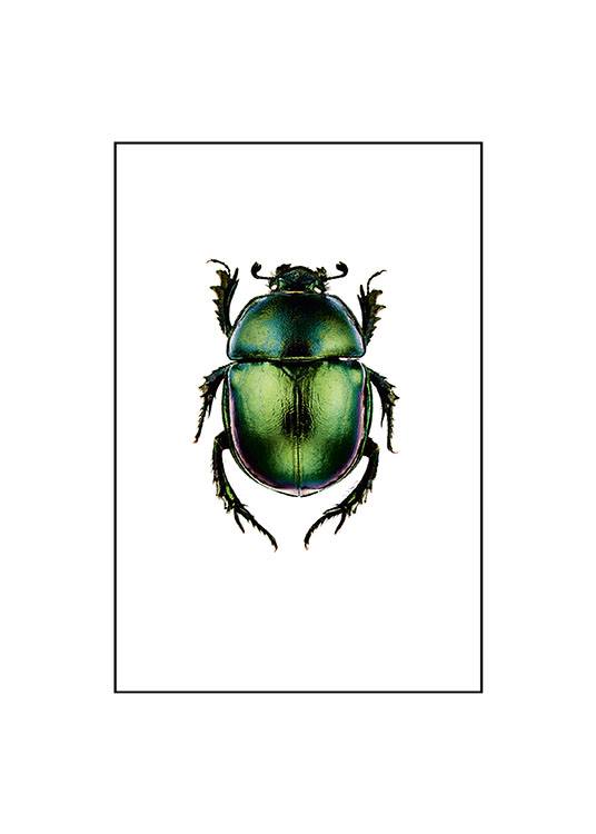 Beetle Plakat