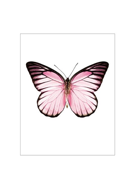 Pink Butterfly Small Plakat 