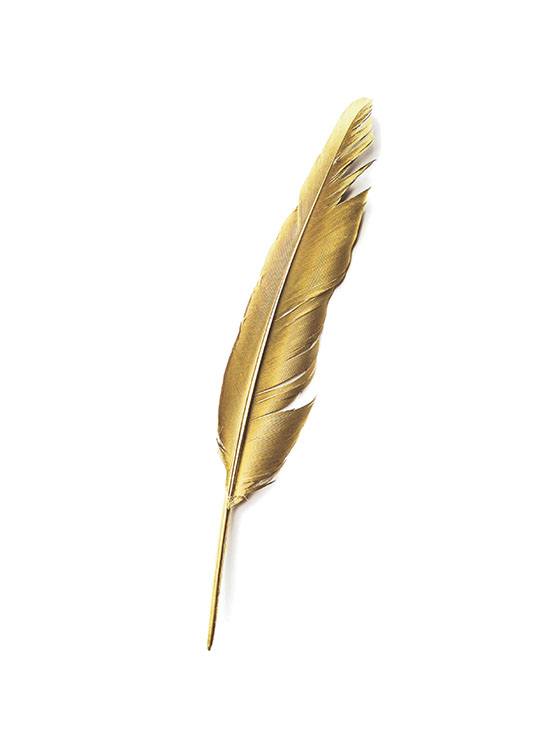 Gold Feather, Plakat / Plakaty z napisami w Desenio AB (7605)