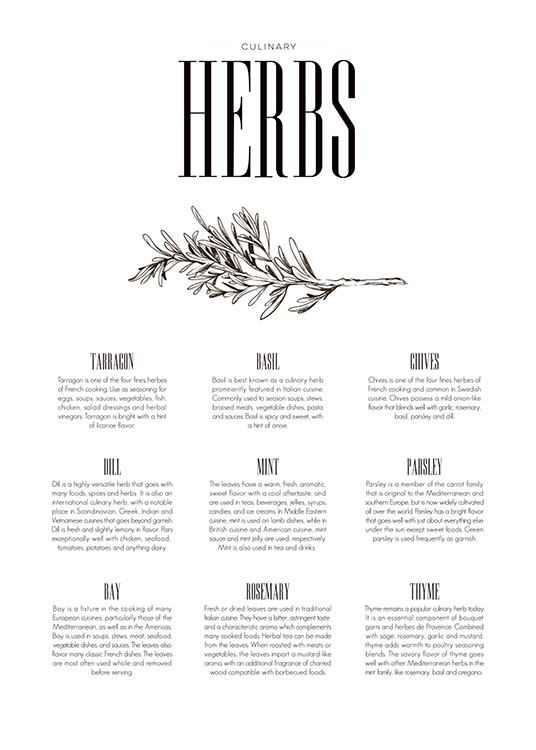 Herbs Type, Plakat