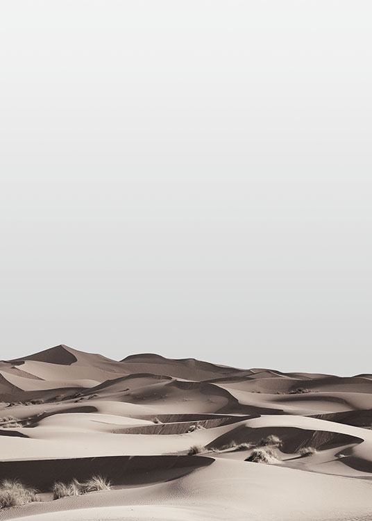 Desert Plakat