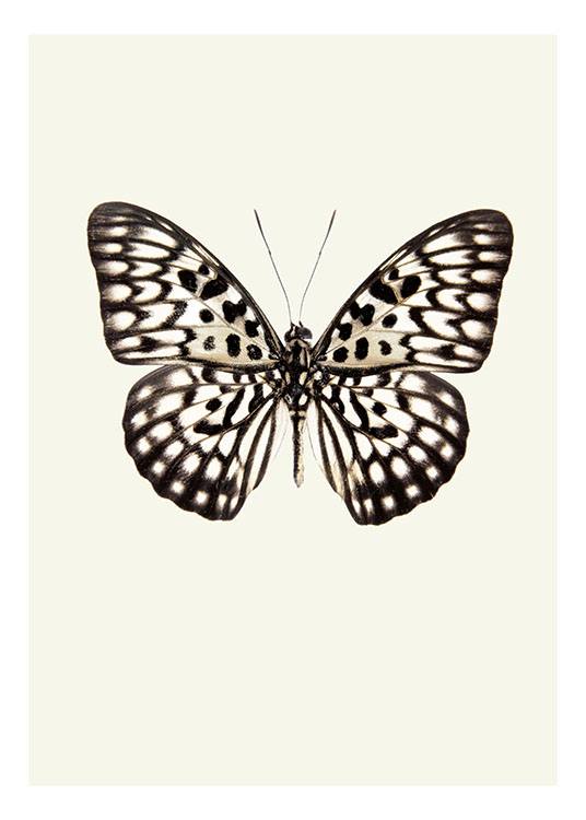 Vintage Butterfly Plakat  