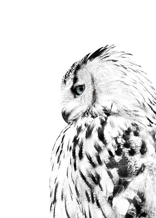 White Owl, Plakat