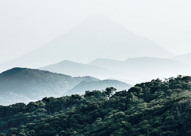 Forest Hills, Plakat