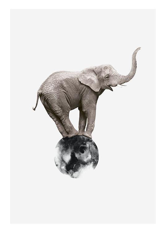 Elephant On Circle, Plakat