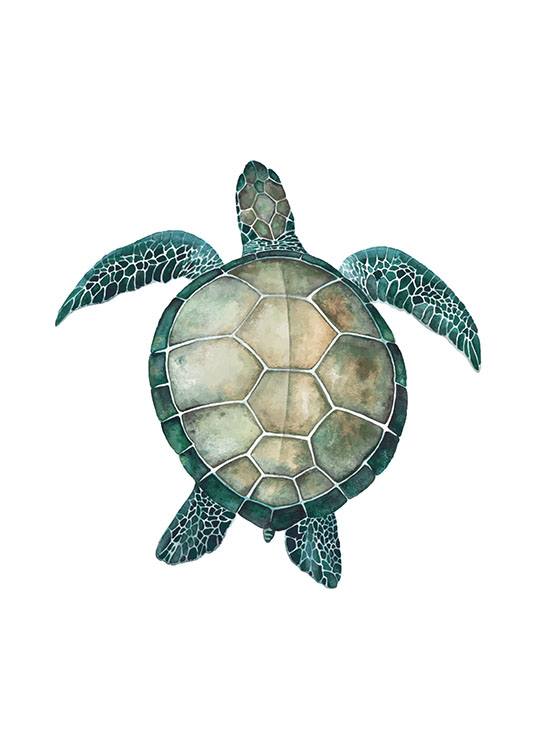 Sea Turtle, Plakat