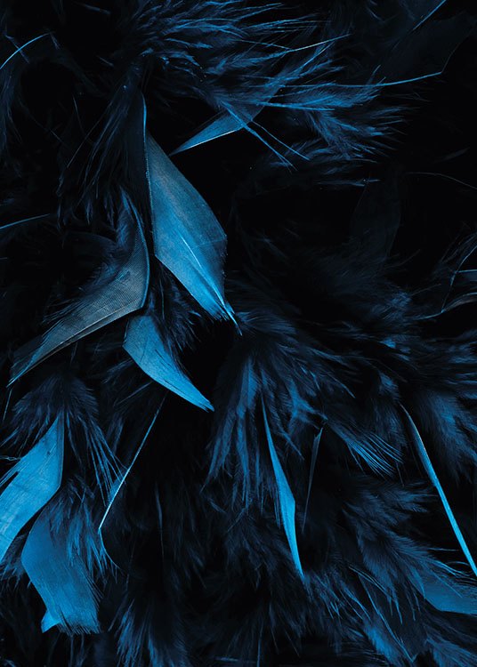 Blue Feathers, Plakat / Fotografia w Desenio AB (8483)