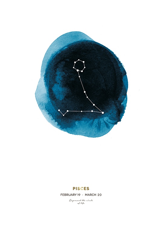 Pisces Plakat
