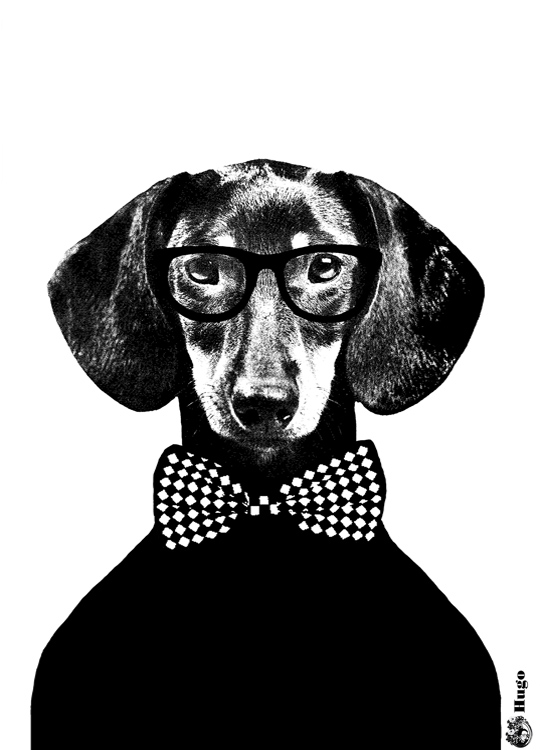 Lisa Bengtsson Hugo, Plakat