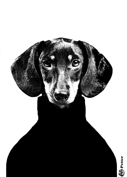 Lisa Bengtsson Petter, Plakat