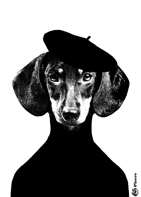 Lisa Bengtsson Pierre, Plakat