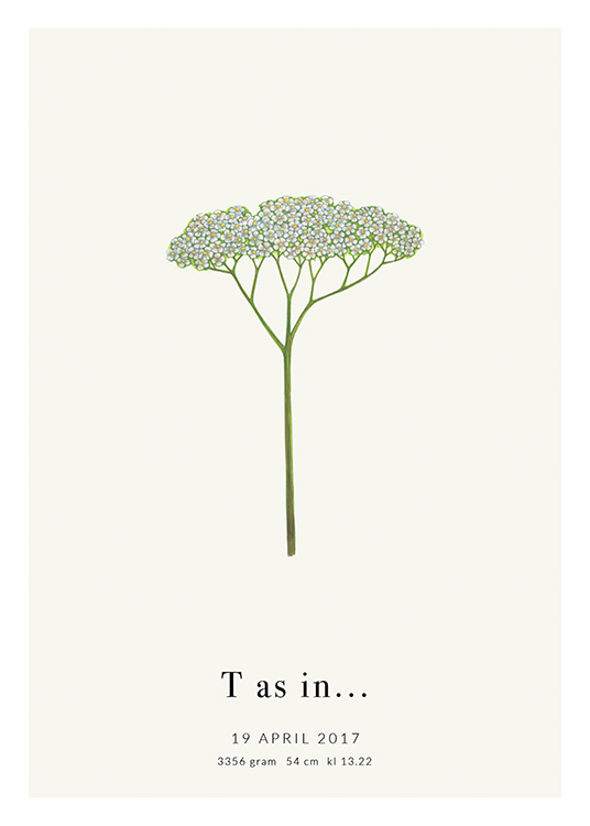  – Litera „T” w kształcie kwiatu, z tekstem u dołu